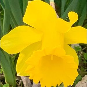 Meet your Posher, Lovey